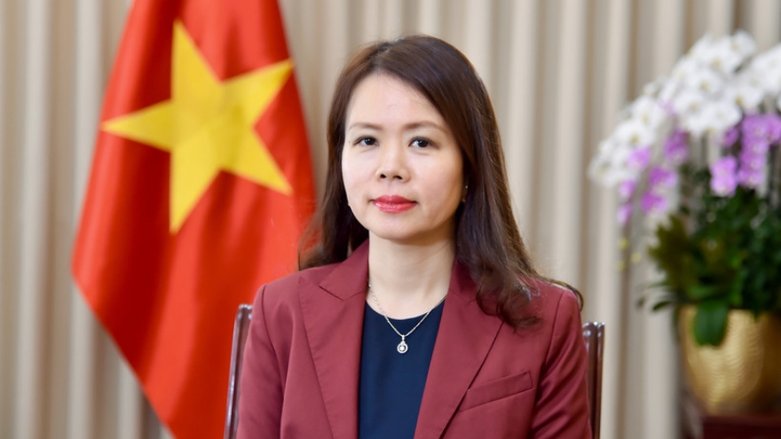 Vietnam works to shape new future, vision with Middle East-Africa region